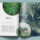 Magazine Printing 3
